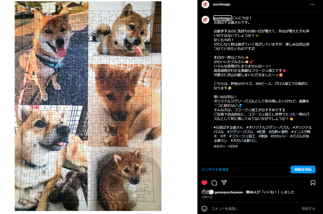 パズル コレクション 誰がどのペットを何年飼っている